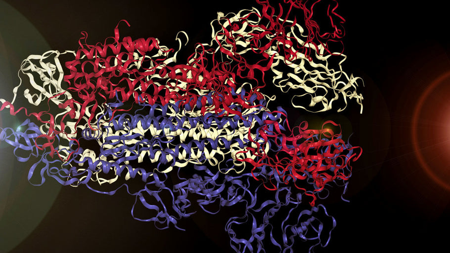 Scientists have turned the structure of the coronavirus into music